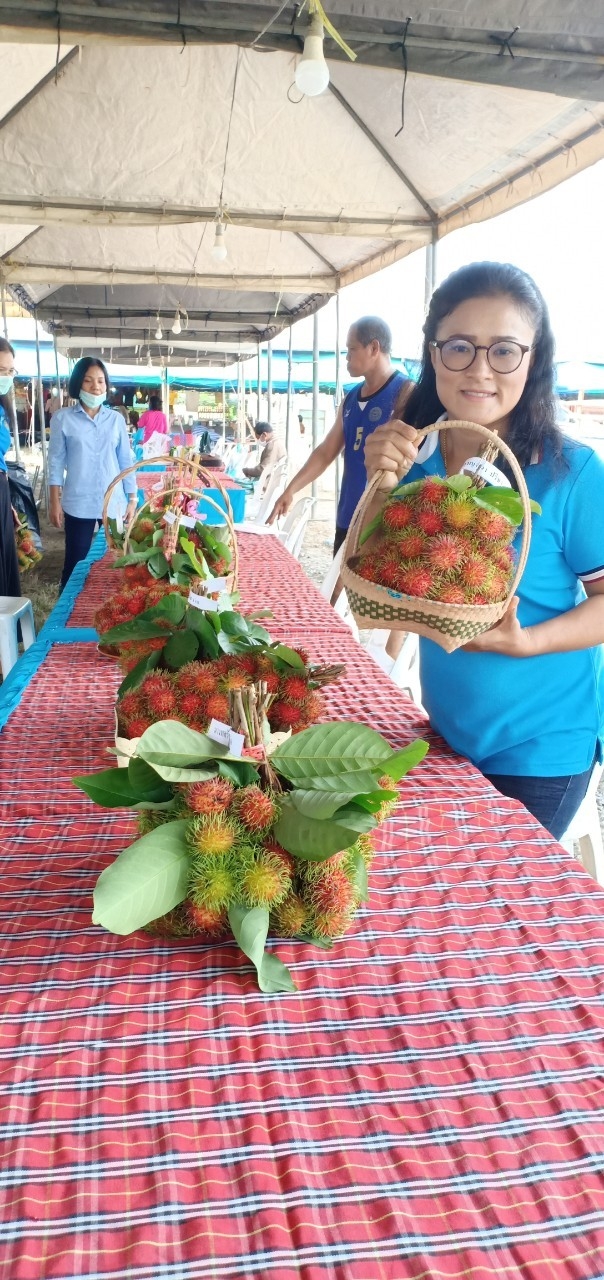 โครงการส่งเสริมการท่องเที่ยวอำเภอฉวาง จังหวัดนครศรีธรรมราช            