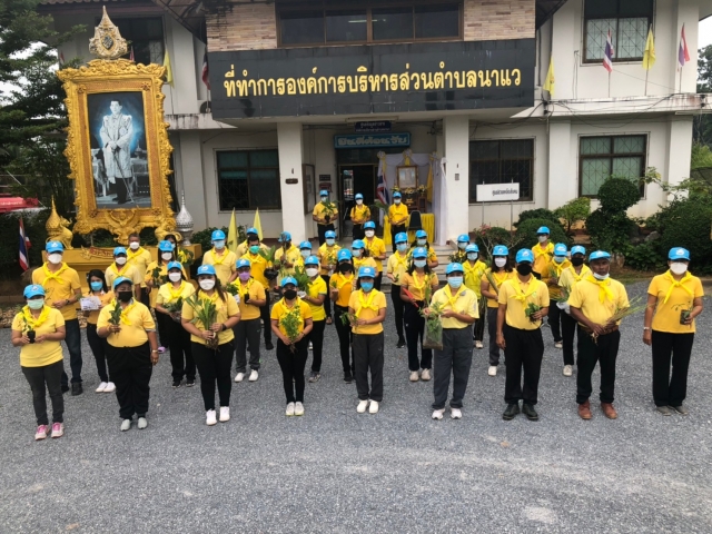 ปลูกสมุนไพรไทย เสริมภูมิคุ้มกัน ต้านภัยโควิด-19
